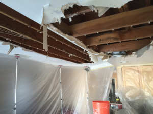 Ceiling Repair: Water Damage